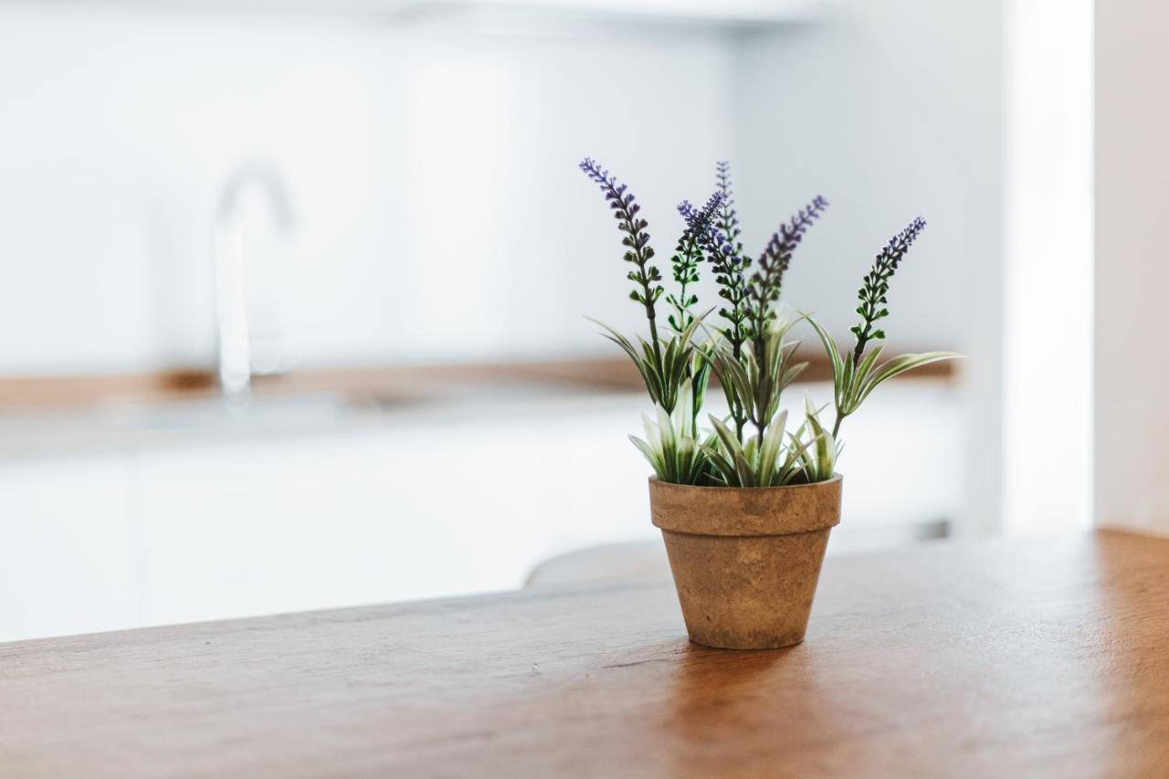 Apartamentos Mk77 Leon- Cantareros Eksteriør bilde